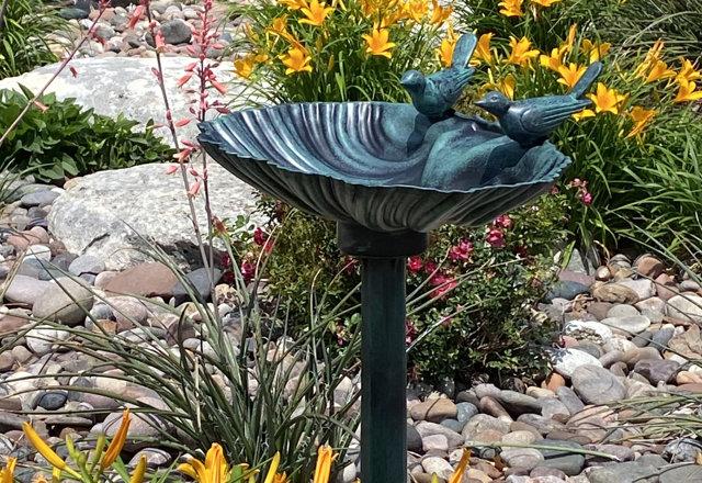 Budget-Friendly Birdbaths